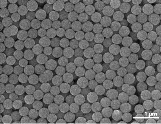 Scanning electron micrograph of clustered colloidal particles
